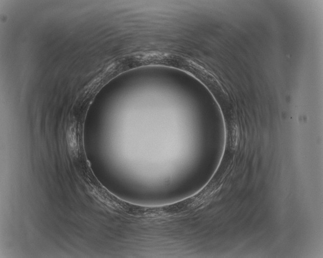 X0000080161250200612081326
