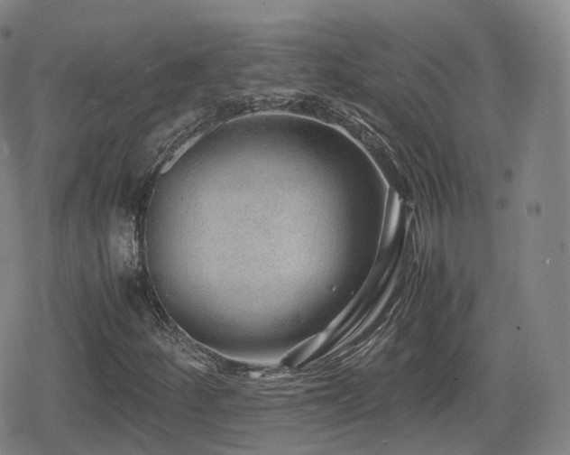 X0000080161252200612081326