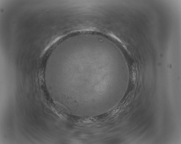 X0000080161255200612081326