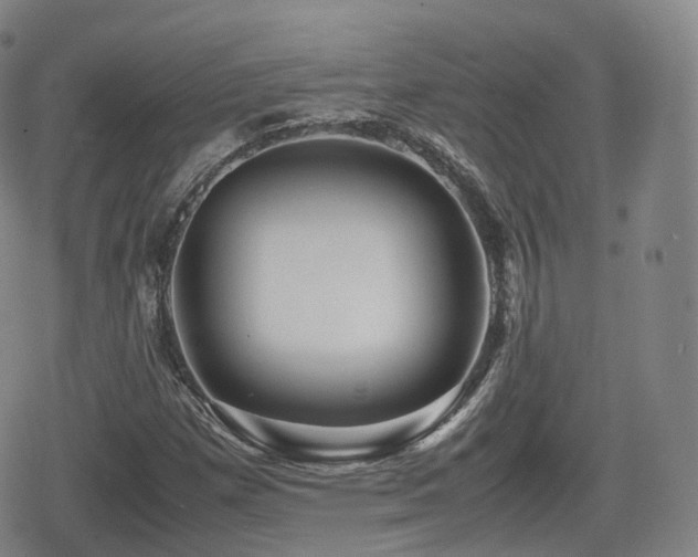 X0000080161257200612081326