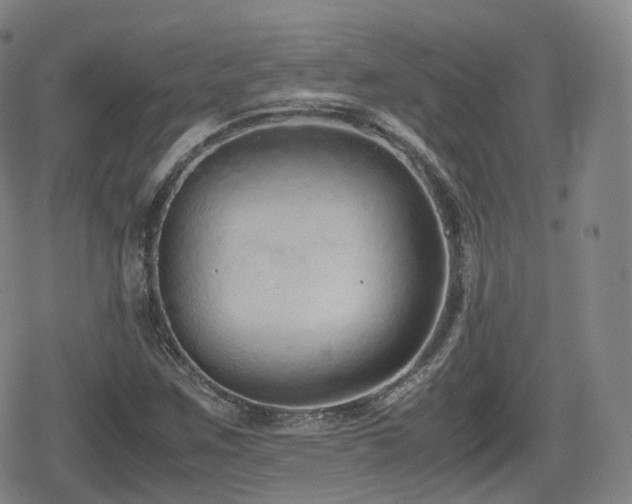 X0000080161259200612081326