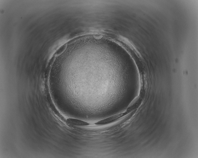 X0000080161260200612081326