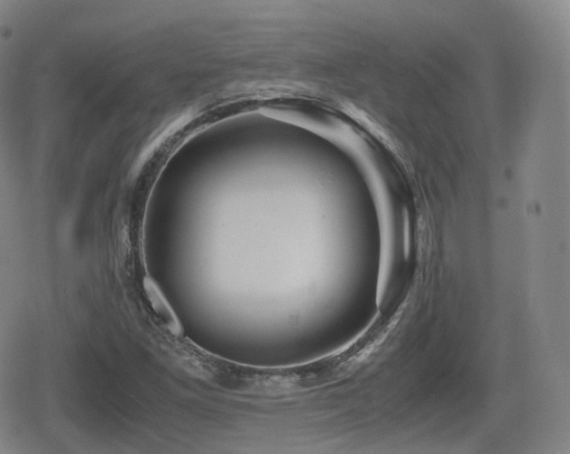 X0000080161261200612081326