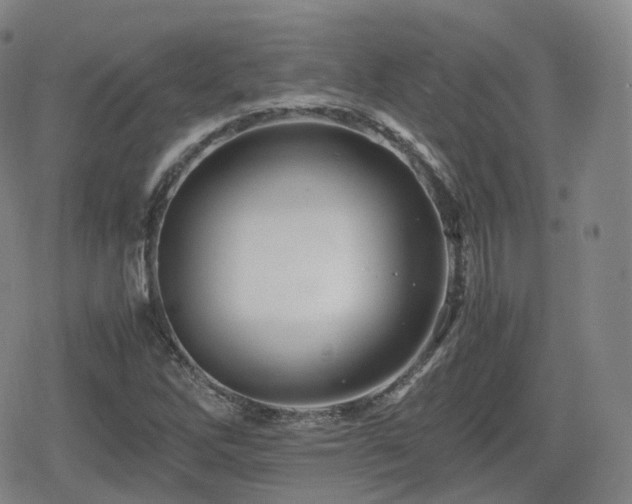 X0000080161262200612081326