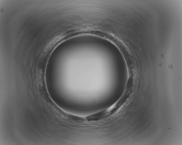 X0000080161265200612081326