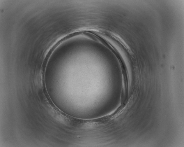 X0000080161268200612081326