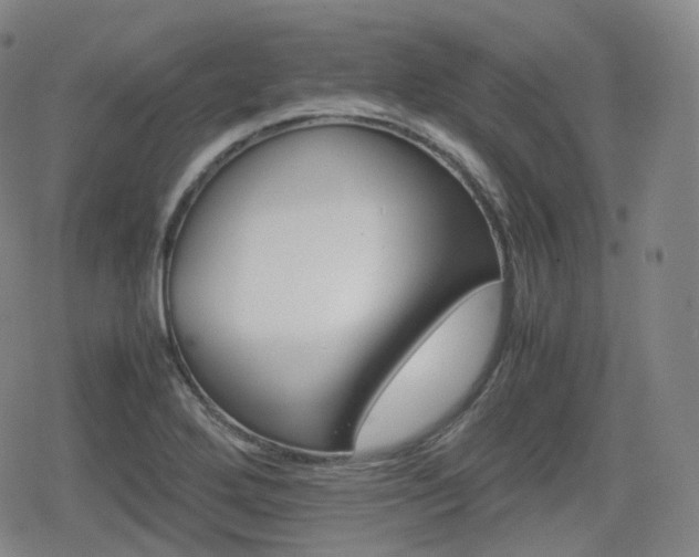 X0000080161272200612081326