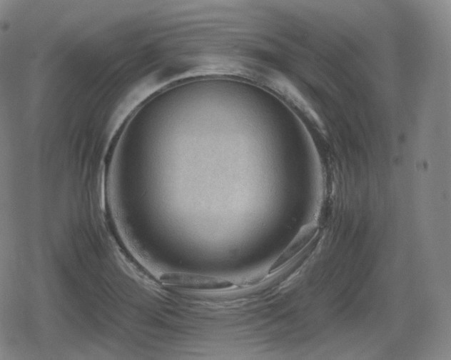X0000080161276200612081326