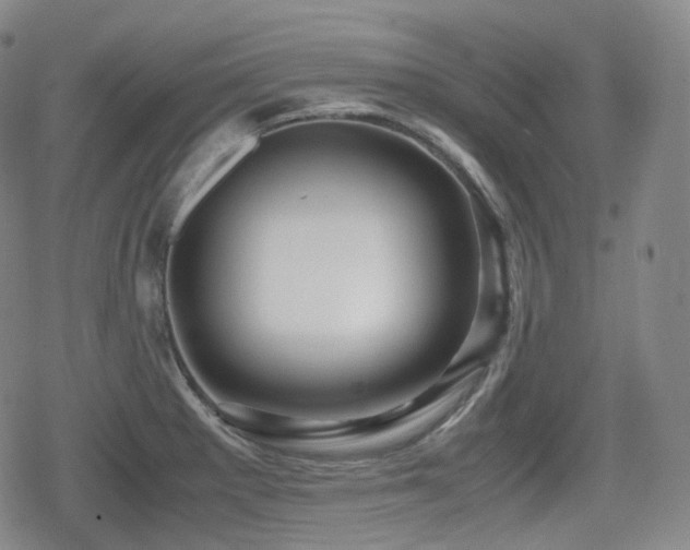 X0000080161281200612081326