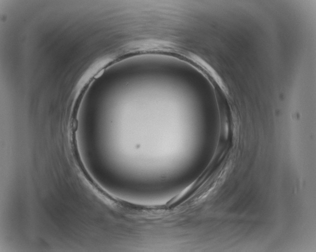 X0000080161285200612081326