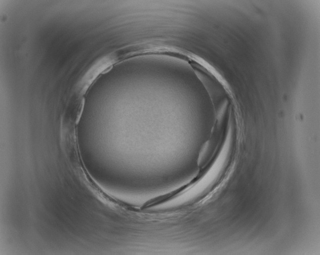 X0000080161289200612081326