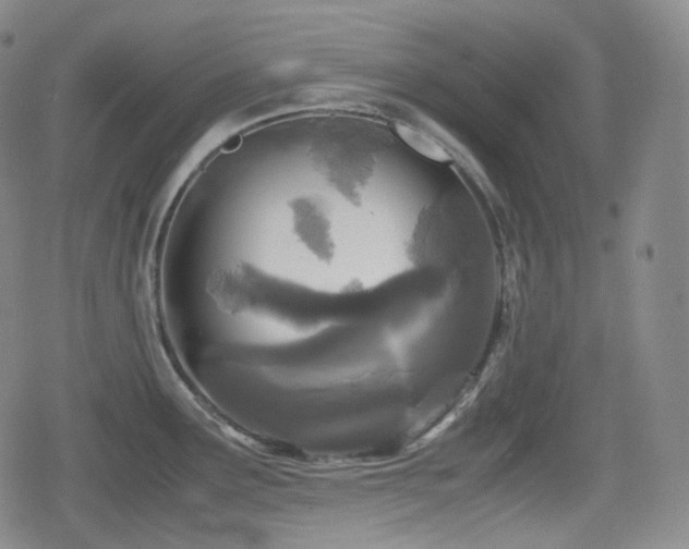 X0000080161291200612081326