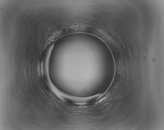 X0000080161298200612081325