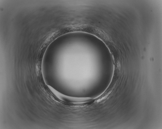 X0000080161300200612081325