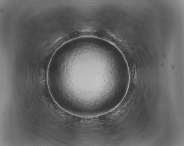 X0000080161301200612081325