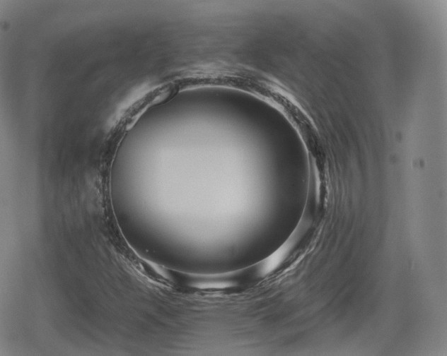 X0000080161304200612081325