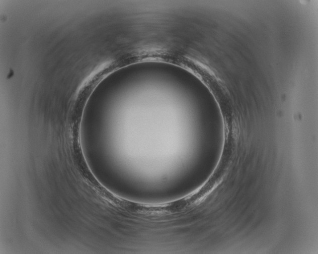 X0000080161309200612081325