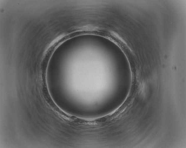 X0000080161315200612081325