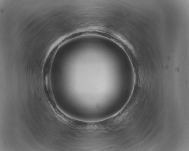 X0000080161316200612081325