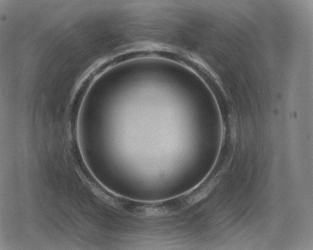 X0000080161318200612081325