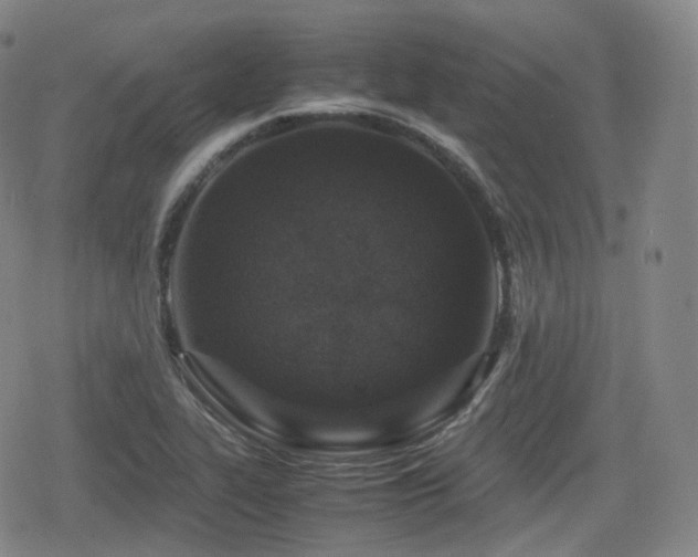 X0000080161319200612081325