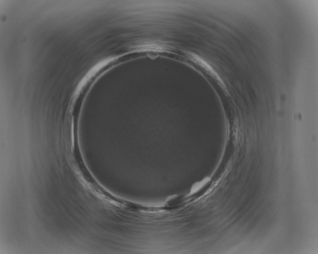 X0000080161323200612081325