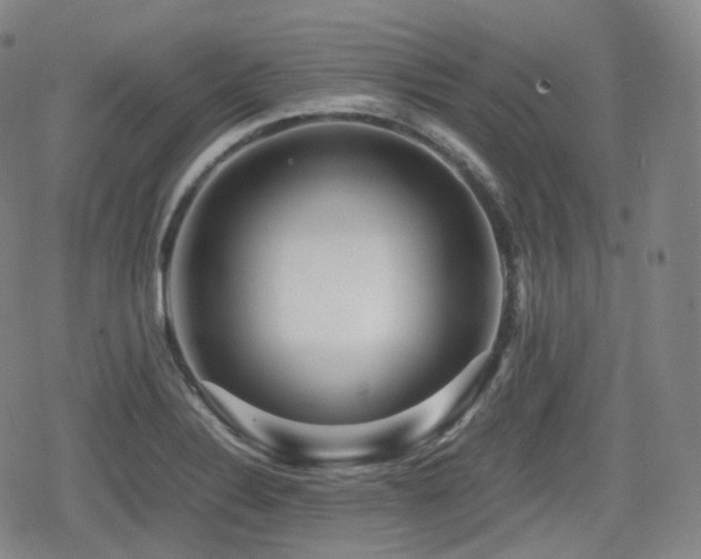 X0000080161324200612081325