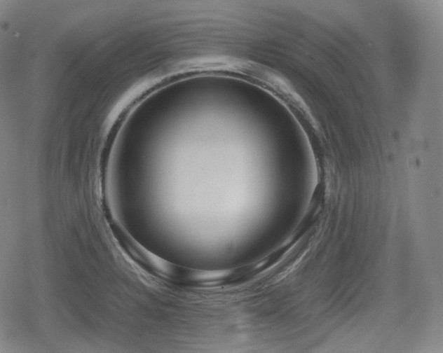 X0000080161328200612081325