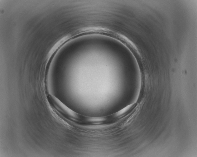 X0000080161330200612081325