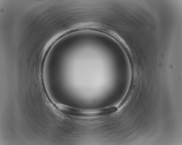 X0000080161336200612081326