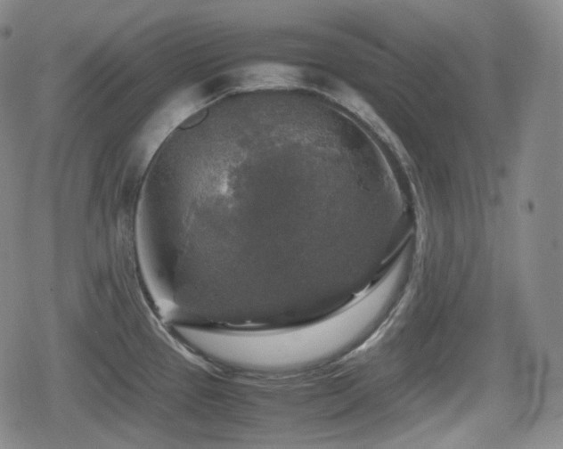 X0000080161337200612081326
