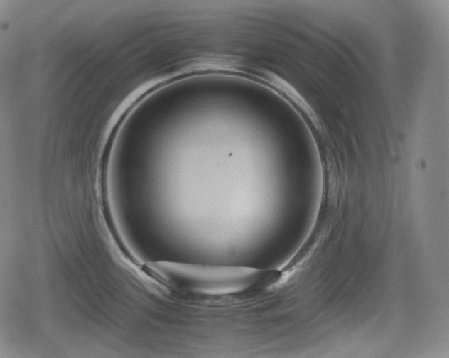 X0000080161339200612081326