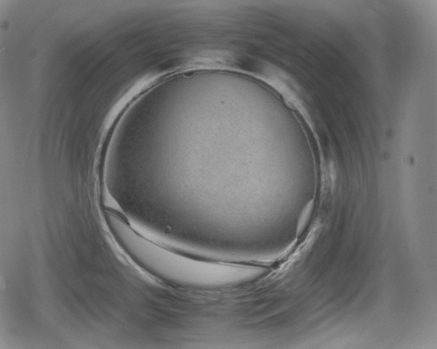 X0000080161341200612081326