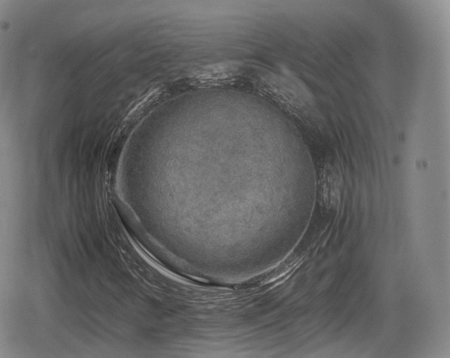 X0000080161346200612081325