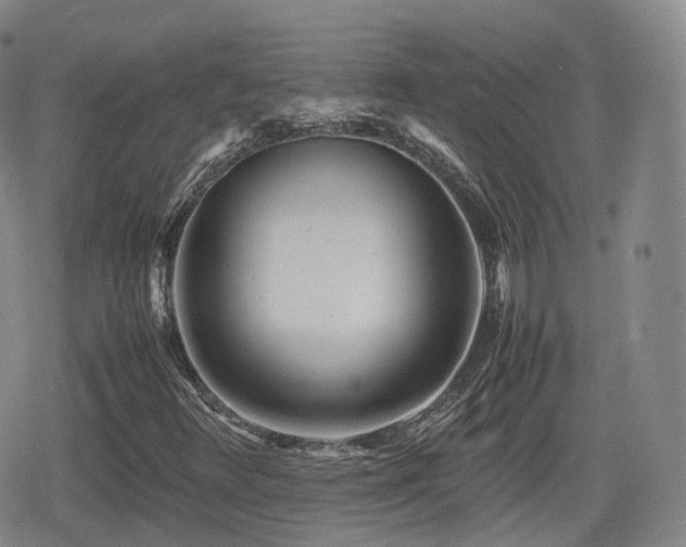 X0000080161348200612081325
