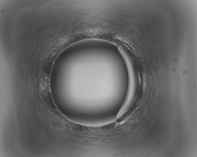 X0000080161349200612081325