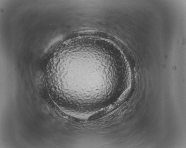 X0000080161351200612081325