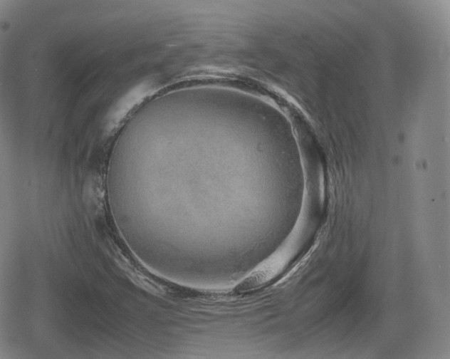 X0000080161355200612081325
