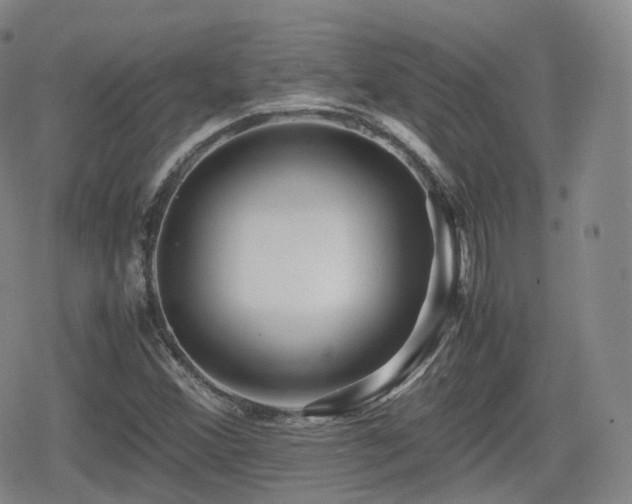 X0000080161356200612081325