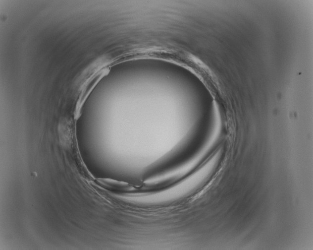 X0000080161361200612081325