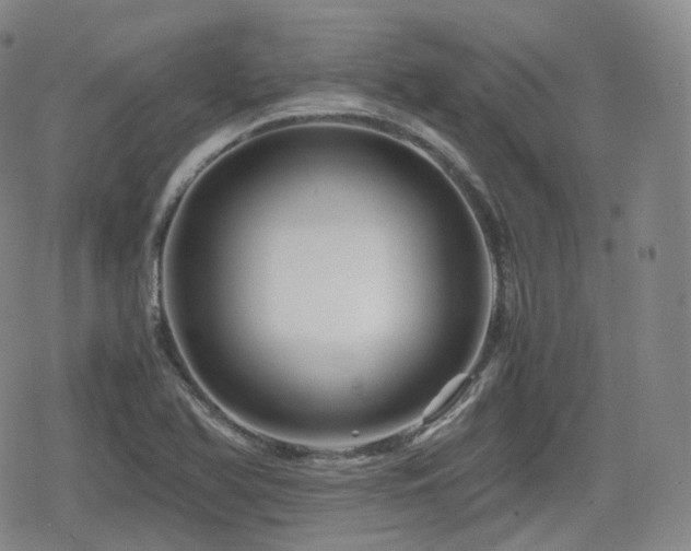 X0000080161366200612081325