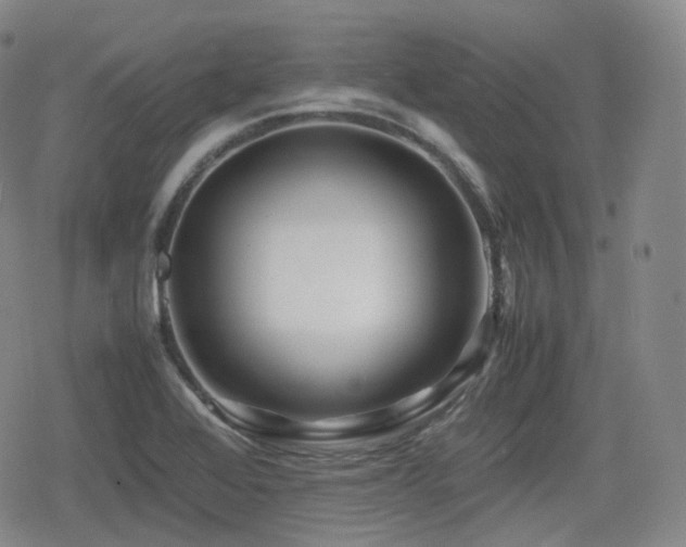 X0000080161368200612081325