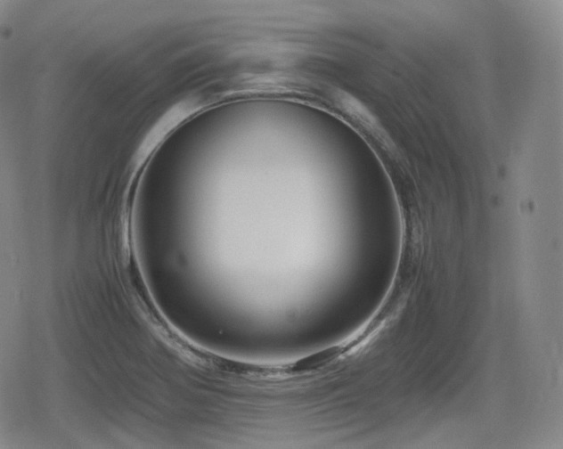 X0000080161370200612081324