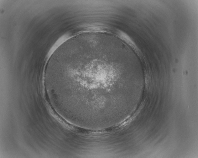X0000080161378200612081324