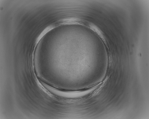 X0000080161386200612081324