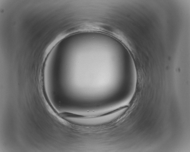 X0000080161387200612081324