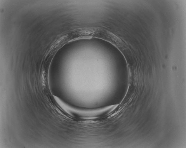 X0000080161394200612081323