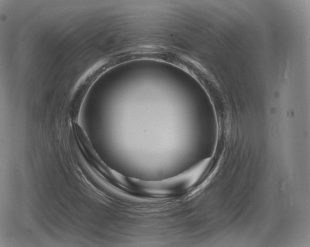 X0000080161402200612081323