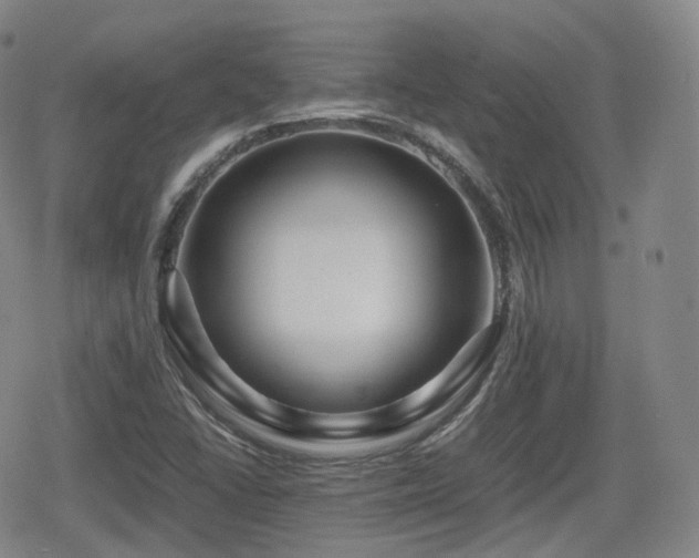 X0000080161406200612081324