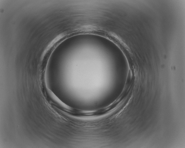 X0000080161410200612081324